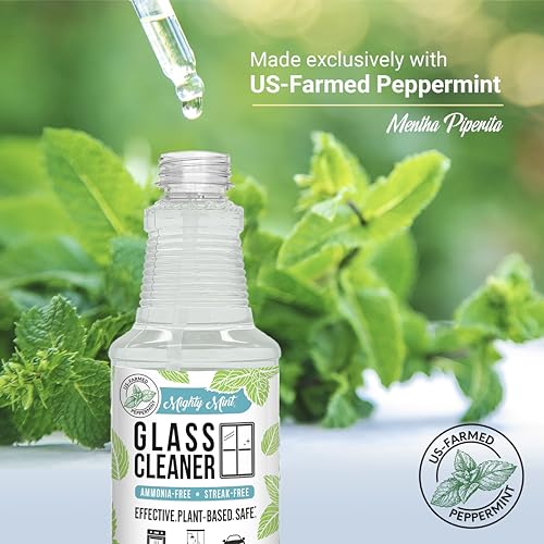 Mighty Mint Glass Cleaner, Non-Toxic, Ammonia-Free, Streak-Free Spray for Windows, Screens, Stovetop, Bathroom, Natural Peppermint Scent, 16oz