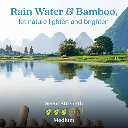 Enviroscent Non Toxic Air Freshener (Rainwater & Bamboo) Plug-in Air Freshener for Home | Essential Oil Plug In | Home Fragrance Last 45+ Days | 1 Refillable Air Freshener Plug In & 1 Scent Refill