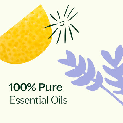 Plant Therapy Top 6 USDA Organic Essential Oil Set - Lavender, Peppermint, Eucalyptus, Lemon, Tea Tree 100% Pure, Natural Aromatherapy, for Diffusion & Topical Use, Therapeutic Grade 10 mL (1/3 oz)