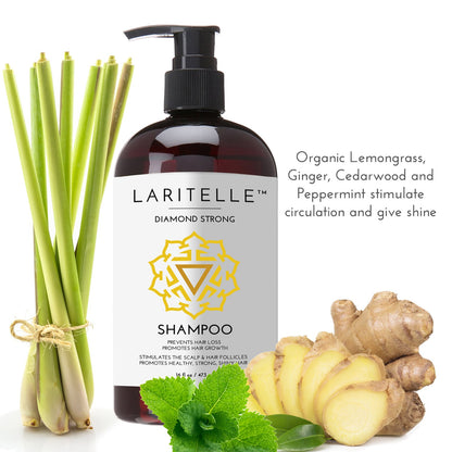 Laritelle Organic Shampoo 17 oz + Conditioner 16 oz | Prevents Hair Loss, Promotes Hair Growth | Argan Oil, Rosemary, Ginger & Cedarwood | NO GMO, Sulfates, Gluten, Alcohol, Parabens, Phthalates